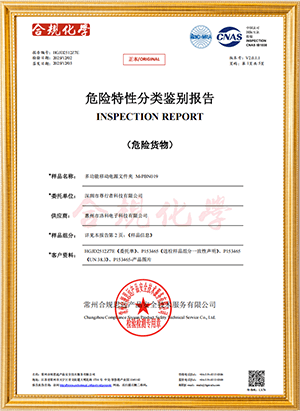 INSPECTION REPORT