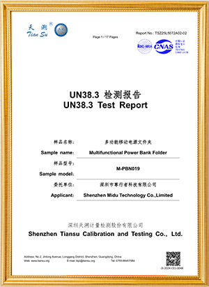 UN38.3